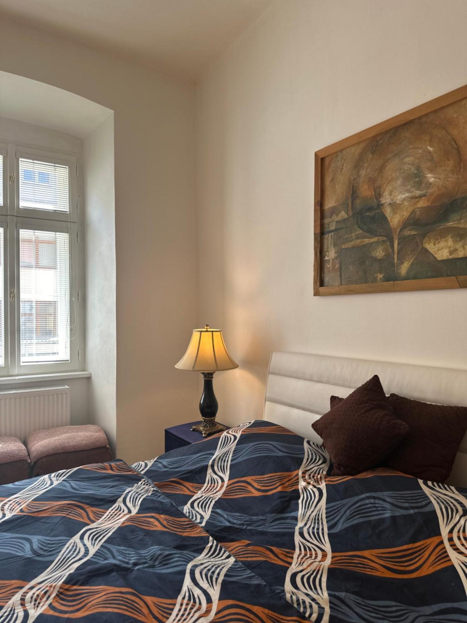 Luxury Apartment Novobranska Brno Extérieur photo