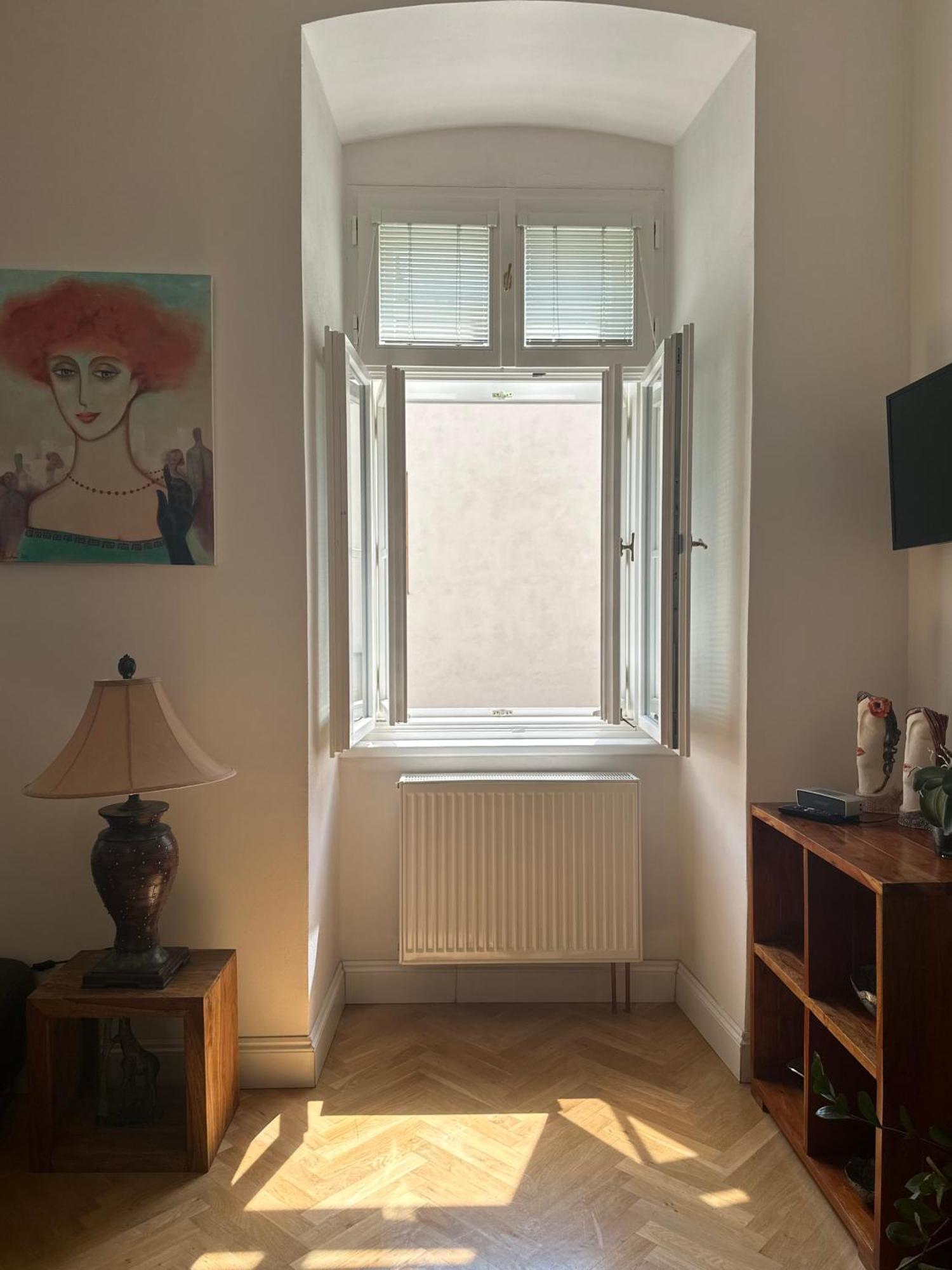 Luxury Apartment Novobranska Brno Extérieur photo