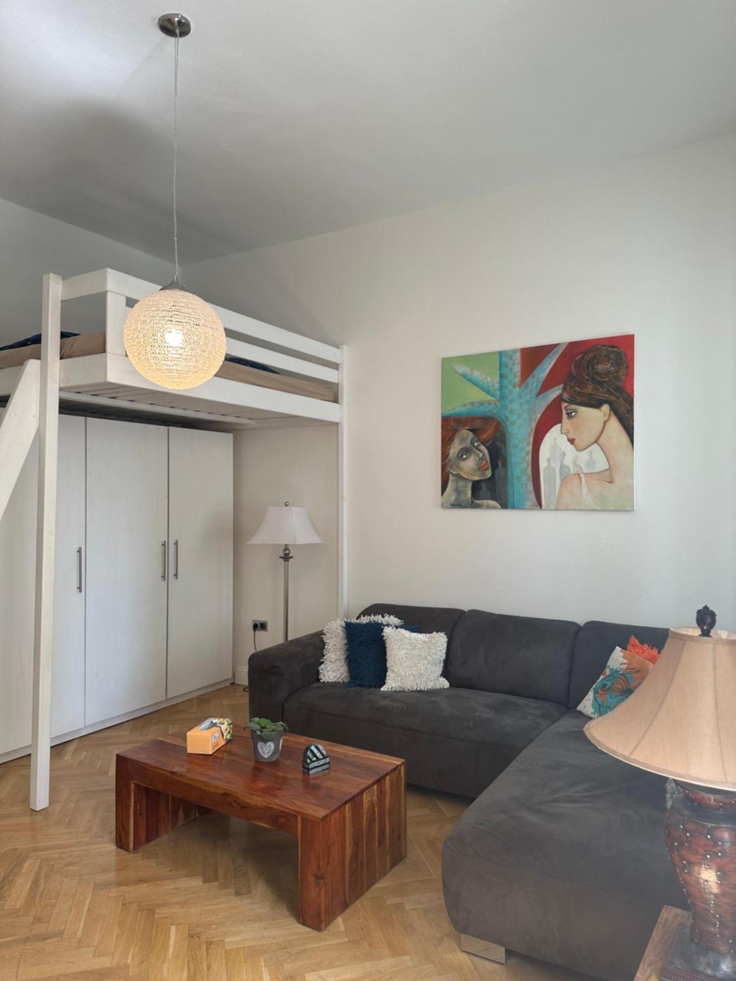 Luxury Apartment Novobranska Brno Extérieur photo